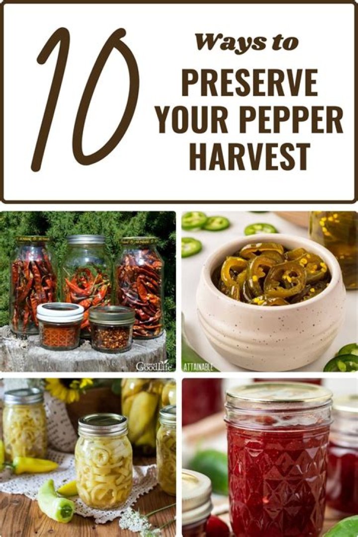 How do you preserve peppers for winter