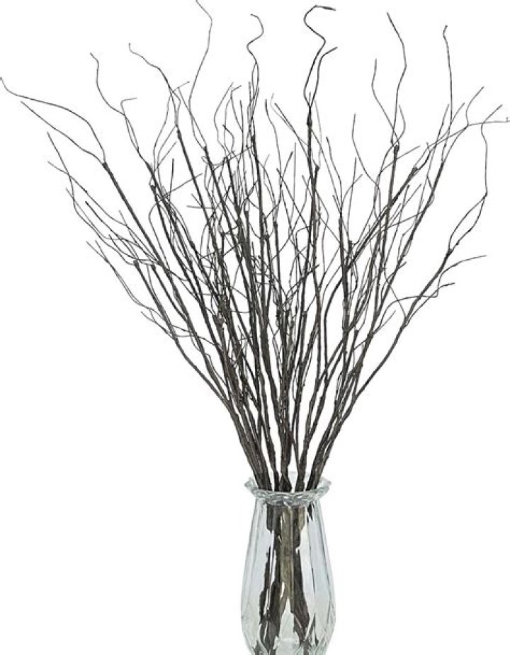 How do you preserve tree branches for decorating