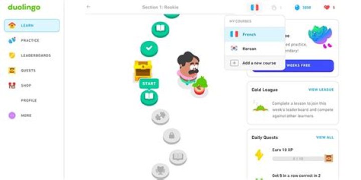 How do you reset your language on duolingo?