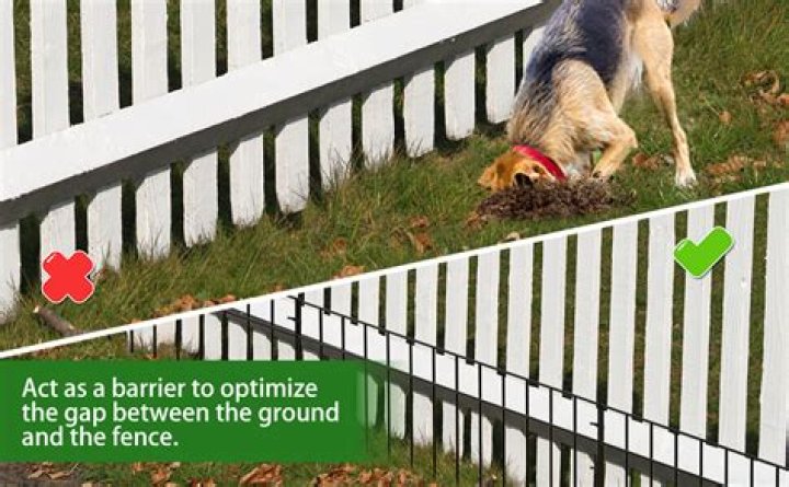 How do you stop a dog from coming in your garden