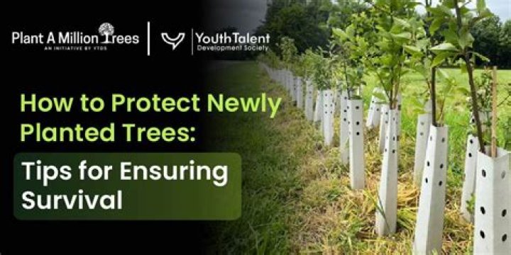 How do you tell if a newly planted tree is dying