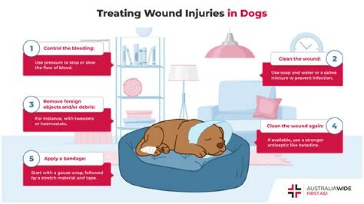 How do you treat deep pyoderma in dogs