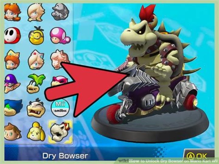 How do you unlock dry bones on Mario Kart DS?