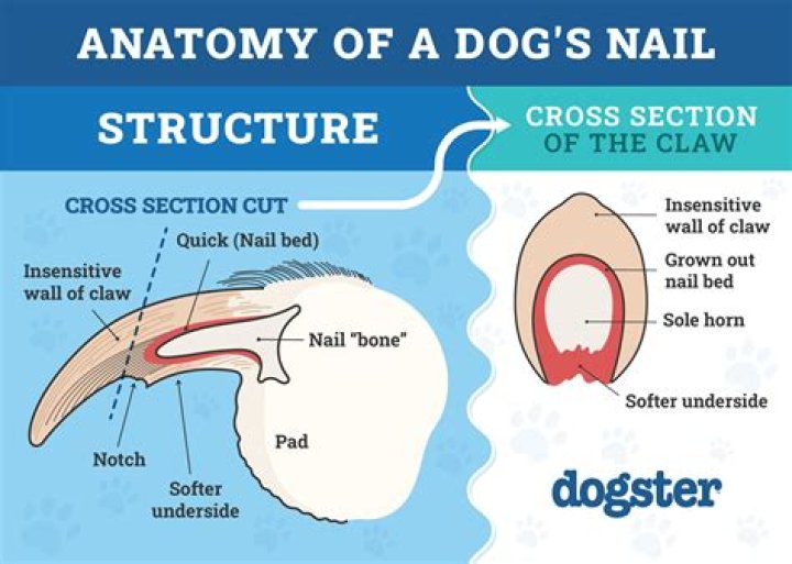 How do you use nail dissolver?