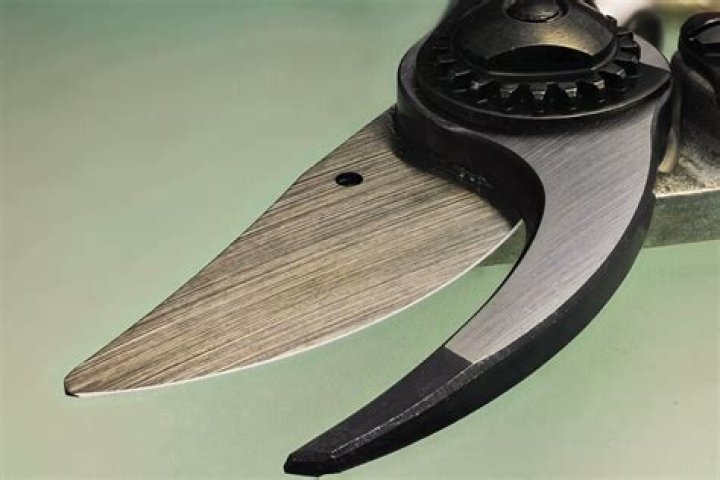 How do you use secateurs?