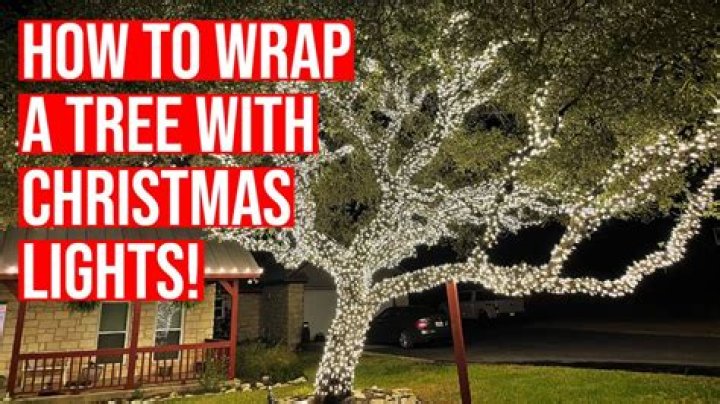 How do you wrap a large tree with lights?