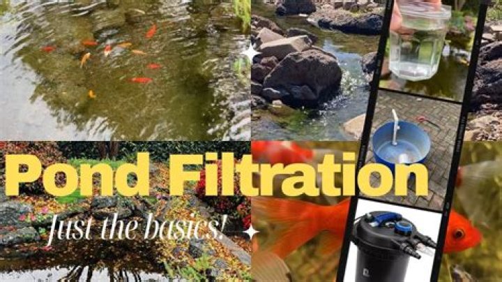 How does a pond pump and filter work?