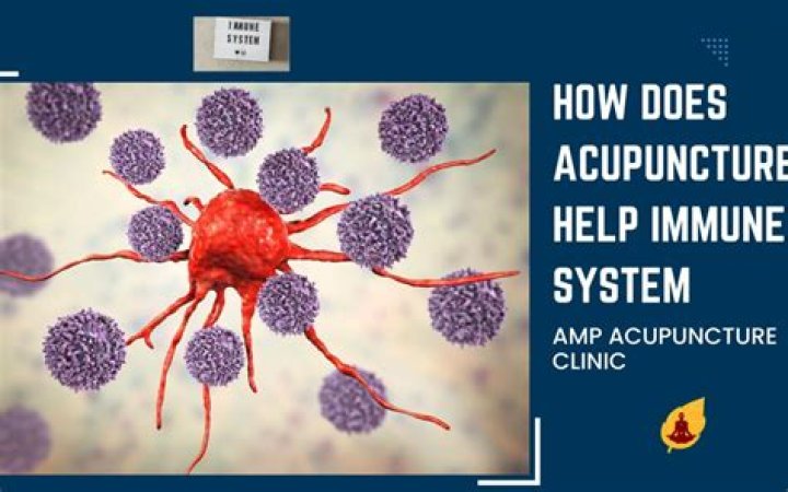 How does acupuncture help immune system
