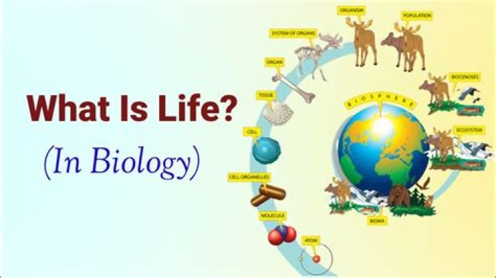 How does biology relate to your life?