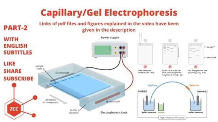 How does capillary electrophoresis differ from gel electrophoresis