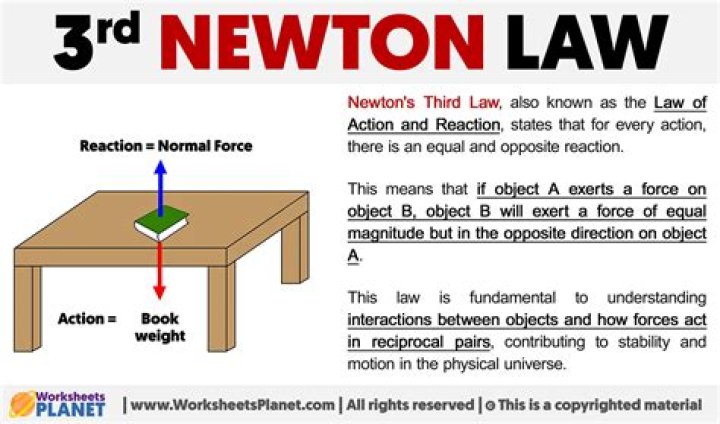How does Newton's third law apply to a mousetrap car?
