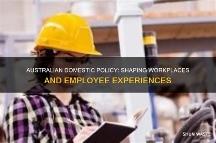 How does the Australian domestic policy affect the work environment