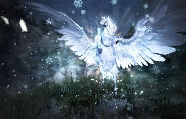 How hard is it to transfer to Clemson