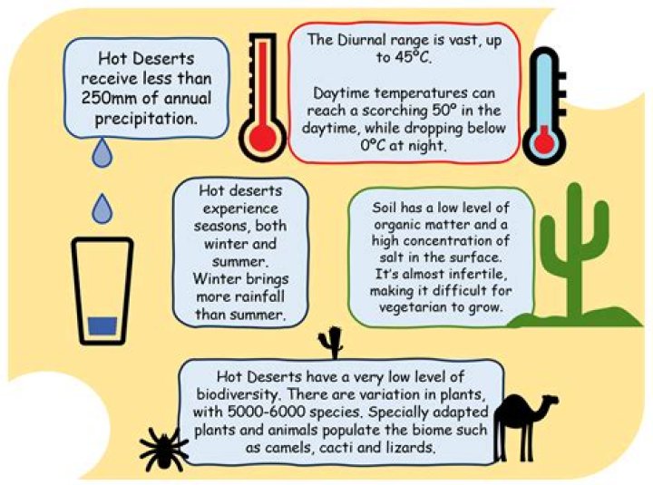 How hot is the desert during the day