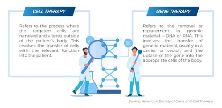 How is germline gene therapy done