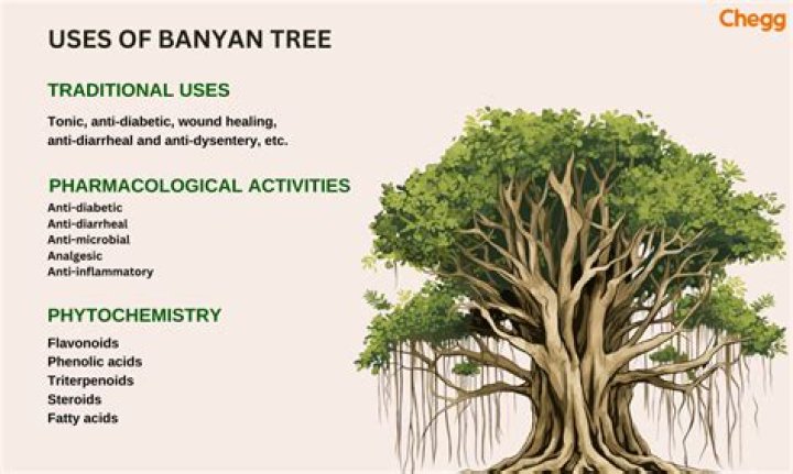 How is the banyan tree different from other trees?