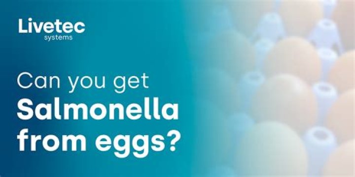 How likely is it to get salmonella from raw eggs