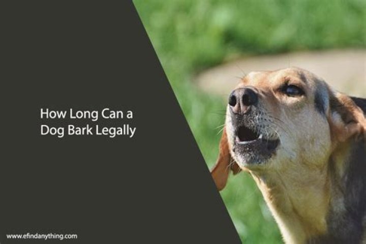 How long can a dog bark legally?