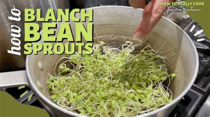 How long do you blanch bean sprouts?