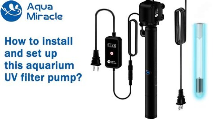 How long does a UV filter take to clear a pond