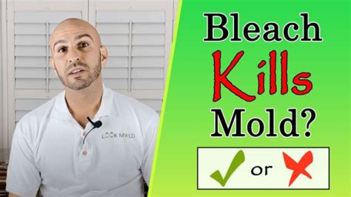 How long does it take bleach to kill mold