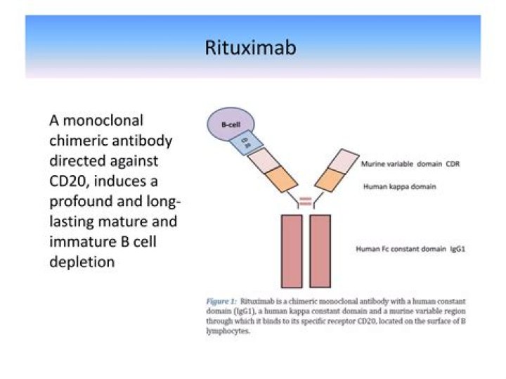 How long does rituximab last