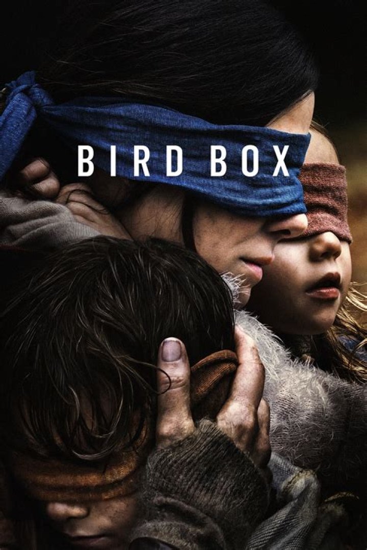 How long is bird box on Netflix