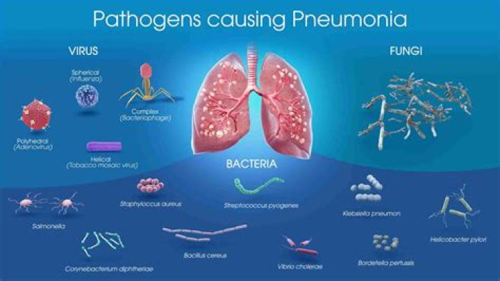 How long is mycoplasma pneumonia contagious