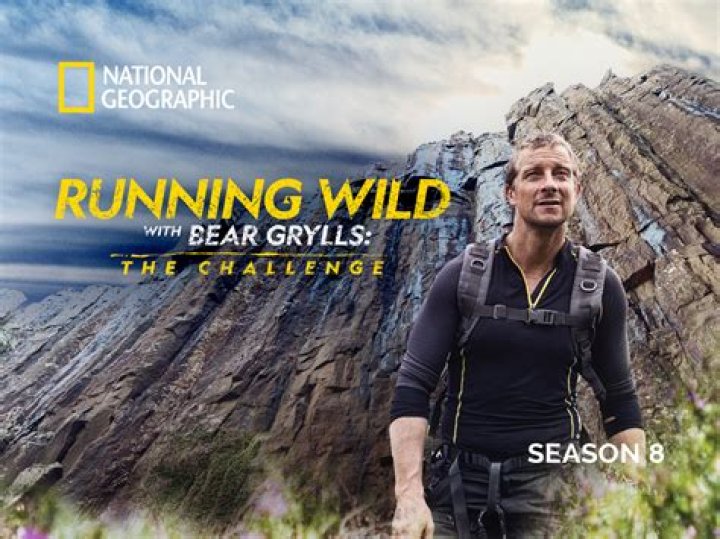 How long was Bear Grylls in the SAS?