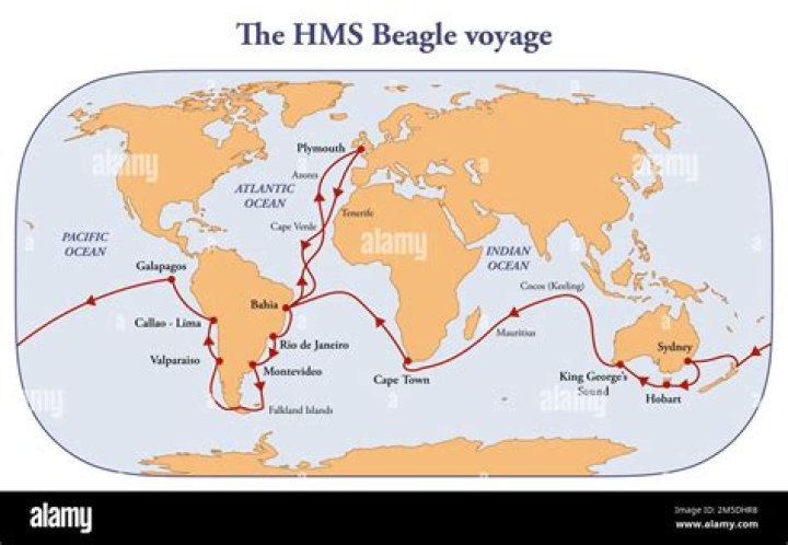 How long was Darwin on the Beagle