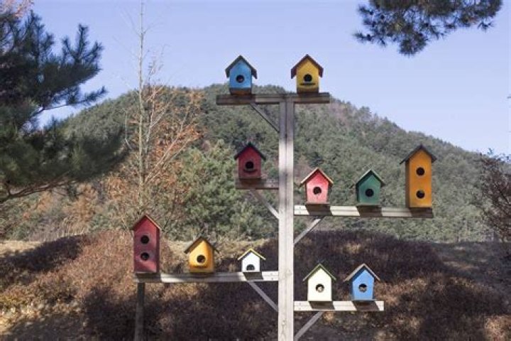 How many birdhouses are on Fossil Island