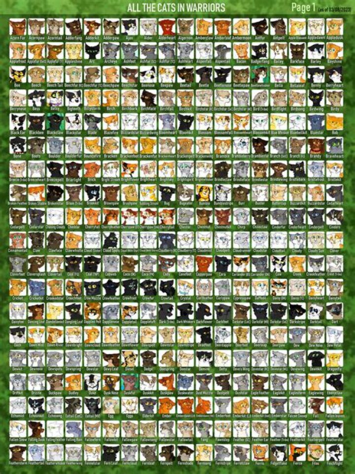 How many cats are in warrior cats?