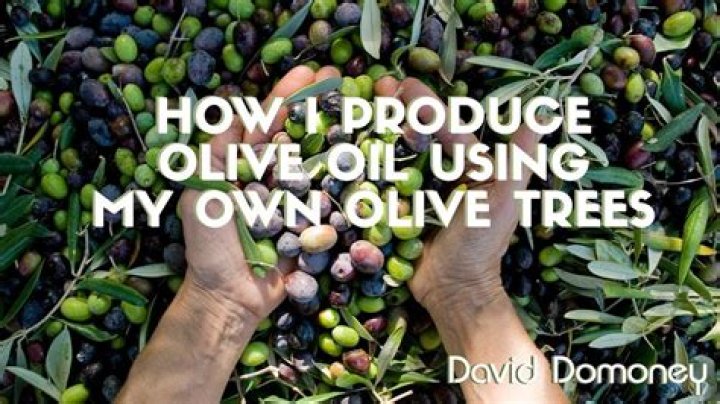 How many olives a day are healthy