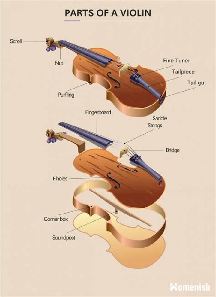 How many parts does a symphony have?