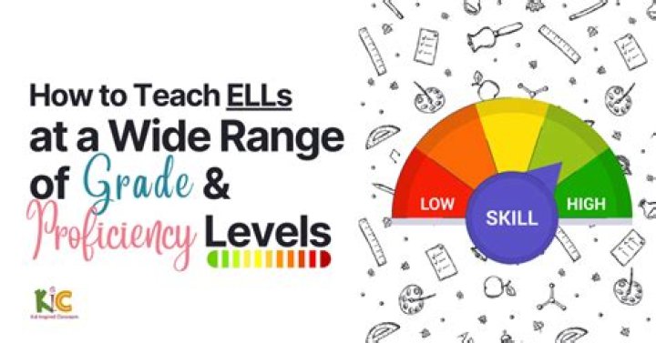 How many Wida levels are there