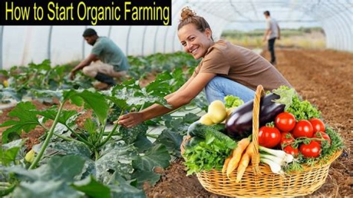 How much can an organic farmer make?
