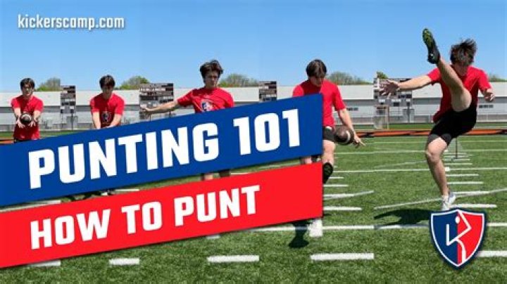 How much do NFL punters make?