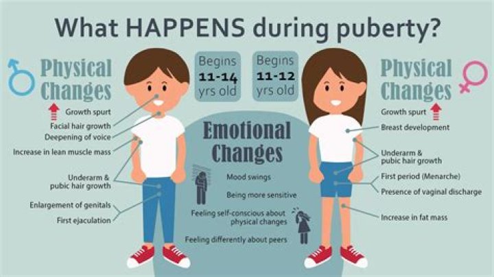 How much does a boy grow during puberty?