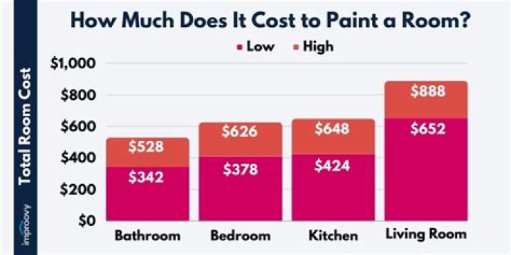 How much does a paint zoom cost?