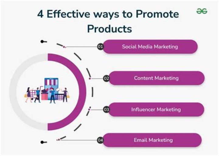 How much does it cost to get an influencer to promote your product?