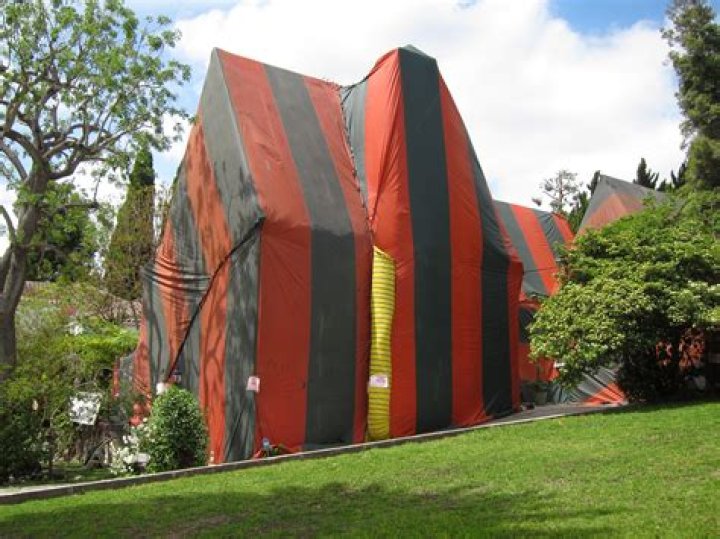 How much does it cost to tent a house for termites in Hawaii