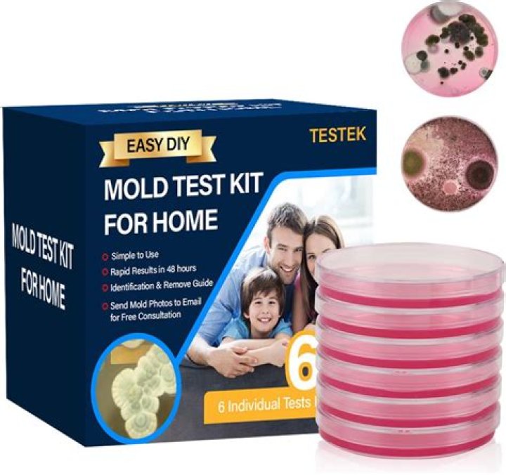 How much does it cost to test for mold in your house?