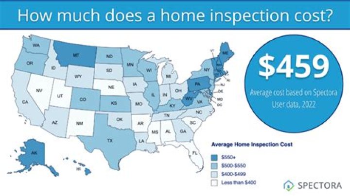 How much does Spectora cost?