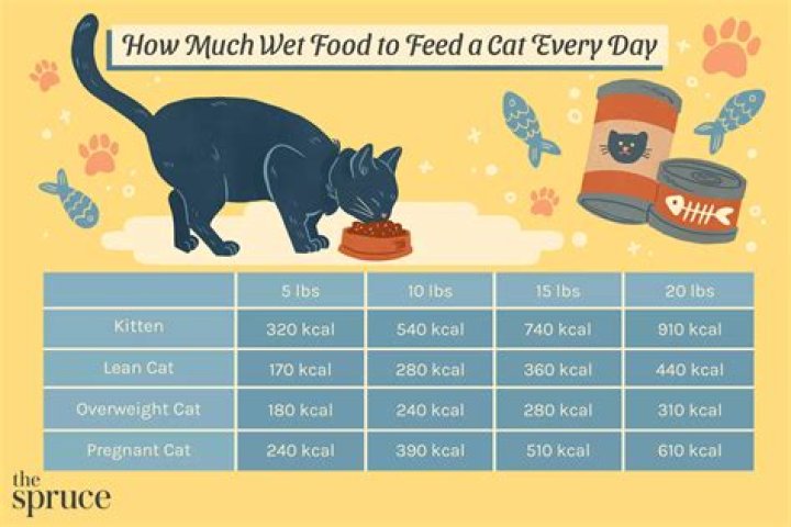How much food do we eat in a year