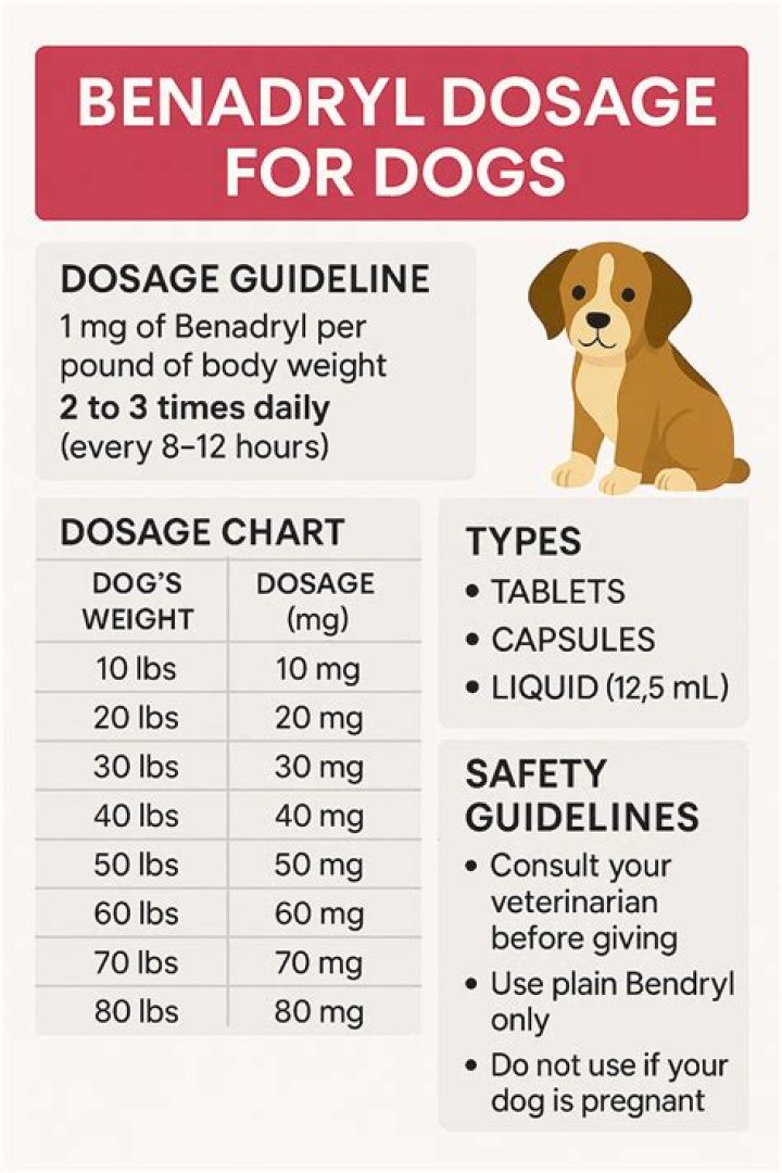 How much phenobarbital can I give my dog