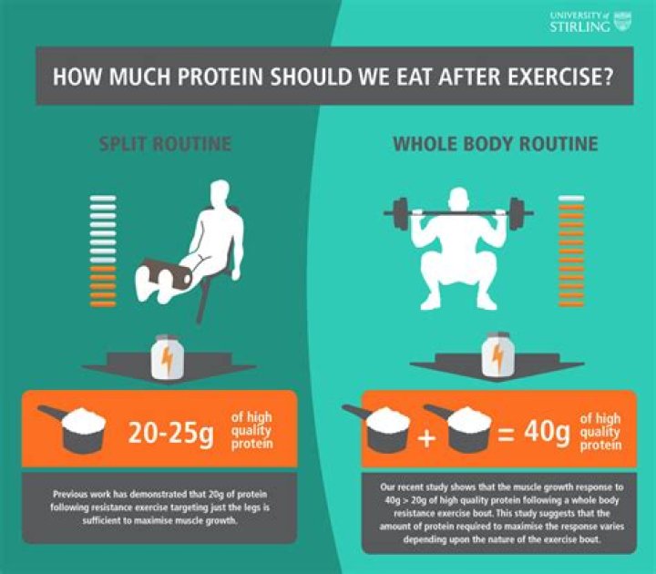 How much protein do I need to lose fat and build muscle