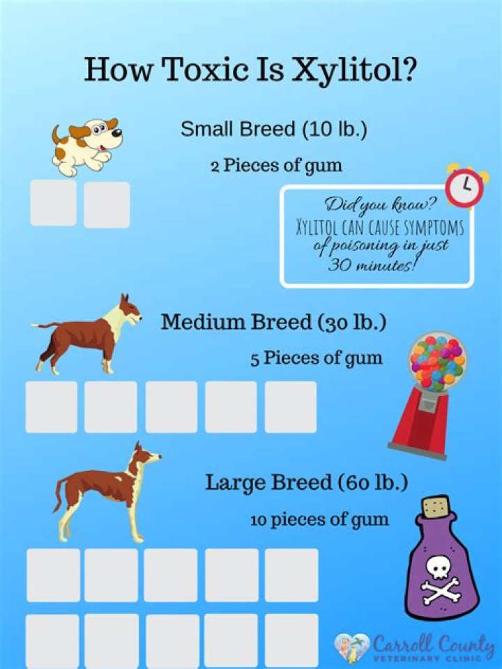 How much xylitol is toxic to dogs?