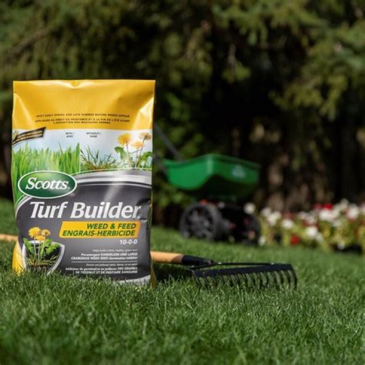 How often can I use Scotts Turf Builder?
