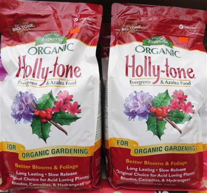 How often can you use holly tone?