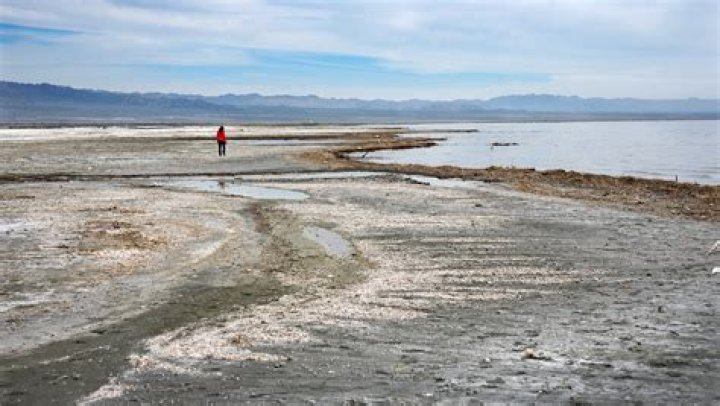 How toxic is the Salton Sea